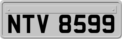 NTV8599