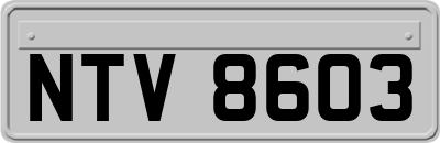 NTV8603