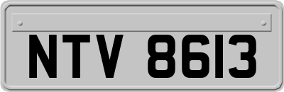 NTV8613