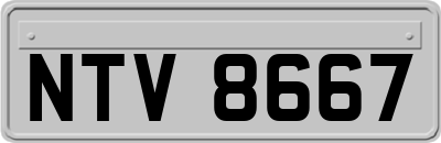 NTV8667