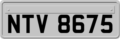 NTV8675