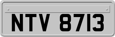 NTV8713