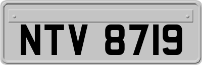 NTV8719