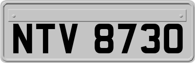 NTV8730