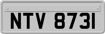 NTV8731
