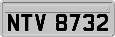 NTV8732