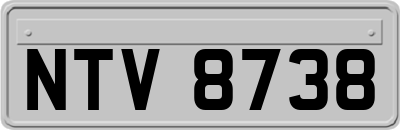NTV8738