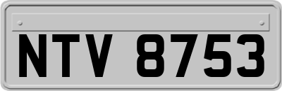 NTV8753
