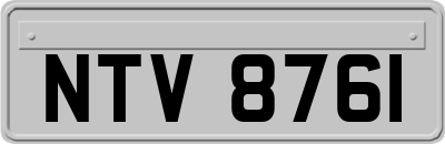 NTV8761