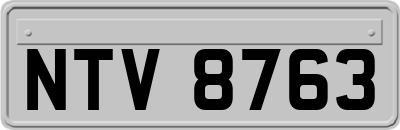 NTV8763