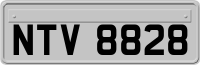 NTV8828