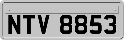 NTV8853