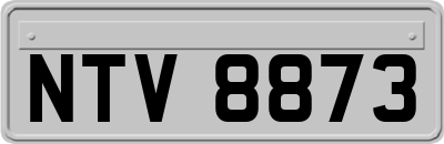 NTV8873