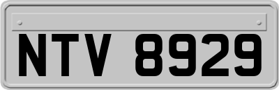 NTV8929