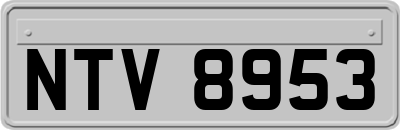 NTV8953