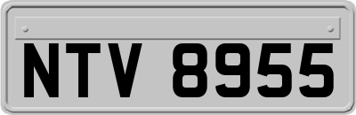 NTV8955