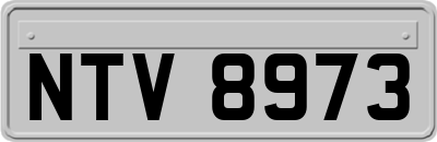 NTV8973