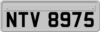 NTV8975