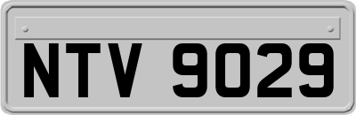 NTV9029