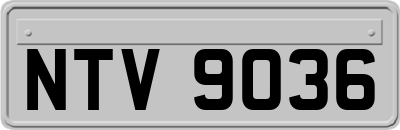 NTV9036