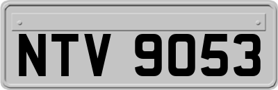 NTV9053