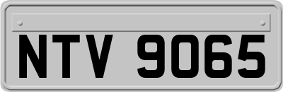 NTV9065