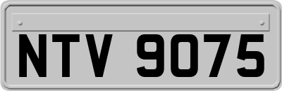 NTV9075