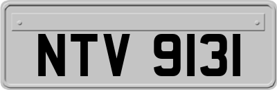 NTV9131