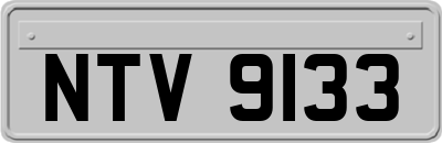 NTV9133