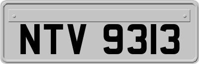 NTV9313