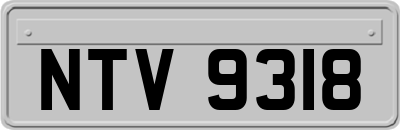 NTV9318