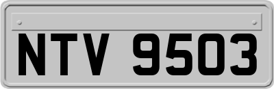 NTV9503