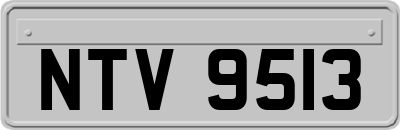 NTV9513