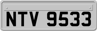 NTV9533