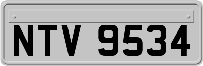 NTV9534