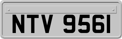NTV9561