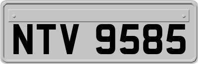 NTV9585