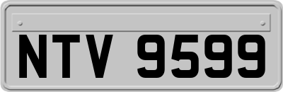 NTV9599