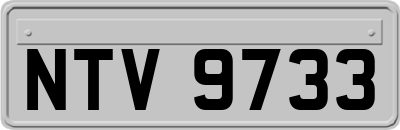 NTV9733
