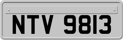 NTV9813
