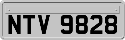 NTV9828