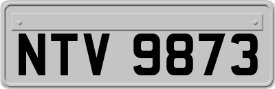 NTV9873