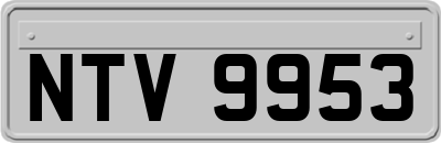 NTV9953