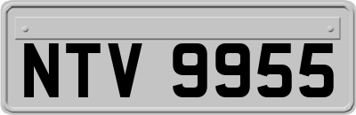 NTV9955