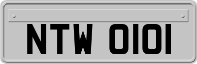 NTW0101