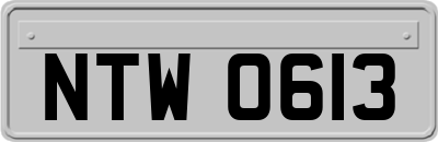 NTW0613