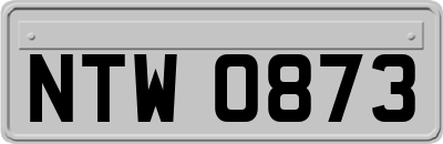 NTW0873