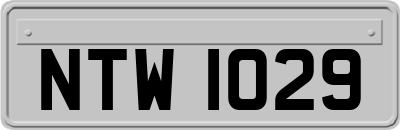 NTW1029