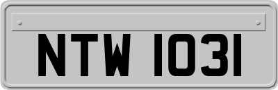 NTW1031
