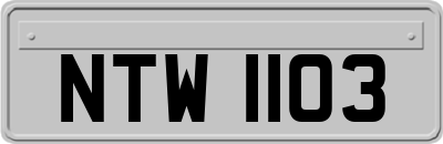 NTW1103